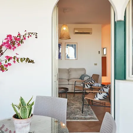 Porto מרצאממי